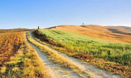 Solo Travel Deals: Save on Just You Tours to India & Tuscany