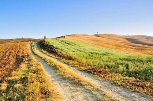 Solo Travel Deals: Save on Just You Tours to India & Tuscany