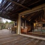 Lion Camp’s 2025 Test: Drought, Awards and Strategy