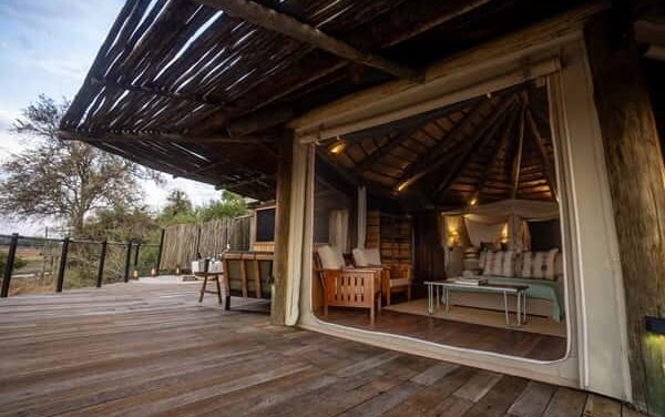 Lion Camp’s 2025 Test: Drought, Awards and Strategy