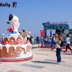 MOLLY Turns 20: Journey to the Star, Back to The Peak