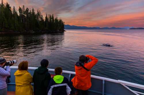 Guests on the ship The National Geographic Sea Bird view a humpback whale as it surfaces at sunset, SGang Gwaay Island, Haida Gwaii, British Columbia.