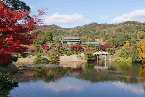 Mori Garden. Image credit ©Mohri Museum