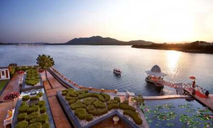 Beyond Green Highlights 2025 Global Impact Across Its Collective