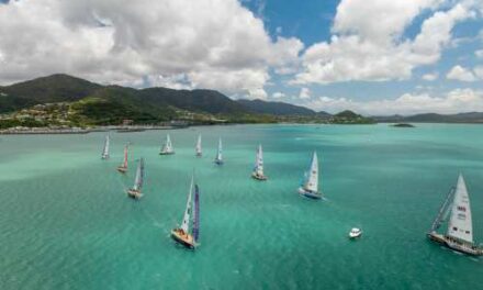 Clipper Yacht Race Delivers Wet, Wild Airlie Beach Stopover