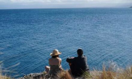 Picnic Island Tasmania Connects Guests to Place in Style
