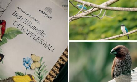 Raffles Bali Takes Flight with “Wings of the Wild”