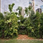 Singapore Biennale 2025 Invites You to See the City Anew