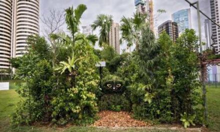 Singapore Biennale 2025 Invites You to See the City Anew