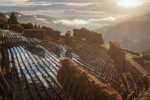Sanagochi Village Terraced Rice Fields. Image credit ©Sanagochison Rice Terrace