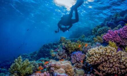 See the Year Differently: Saudi Arabia’s Bold New Beginning