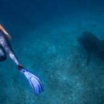 Dive Deep: Swan Hellenic’s Raja Ampat 2026–27 Revealed