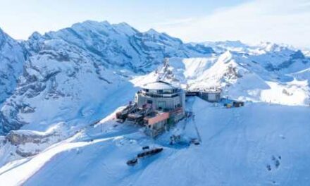 2025 Annual Results: Record Year Despite Operational Disruption