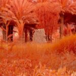 Arduna AlUla Unveils Landmark Show With Centre Pompidou