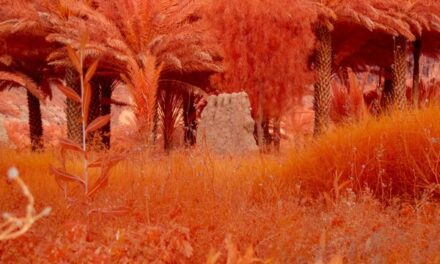 Arduna AlUla Unveils Landmark Show With Centre Pompidou