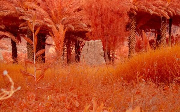 Arduna AlUla Unveils Landmark Show With Centre Pompidou