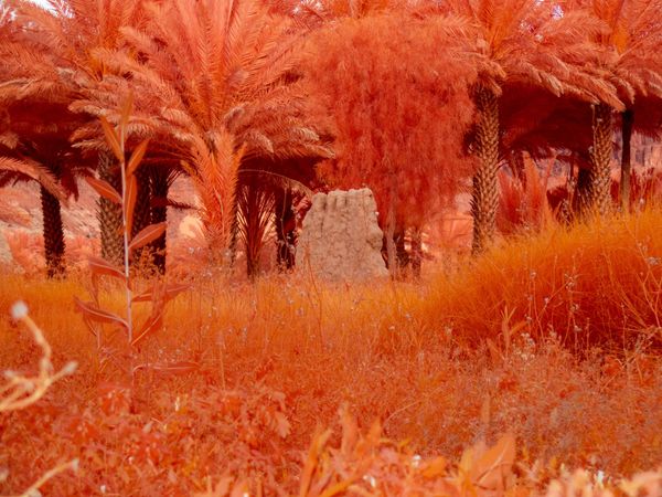 Arduna AlUla Unveils Landmark Show With Centre Pompidou