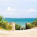 Tribe Hotels Unveils Tribe Beach House Kilifi for 2026