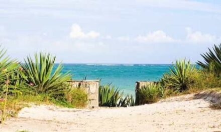 Tribe Hotels Unveils Tribe Beach House Kilifi for 2026