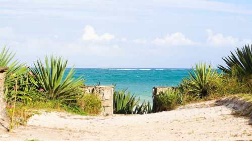 Tribe Hotels Unveils Tribe Beach House Kilifi for 2026