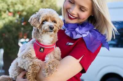 Virgin Australia Extends Pets-in-Cabin Trial as Demand Soars