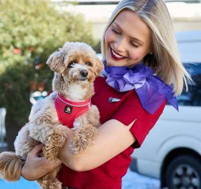 Virgin Australia Extends Pets-in-Cabin Trial as Demand Soars