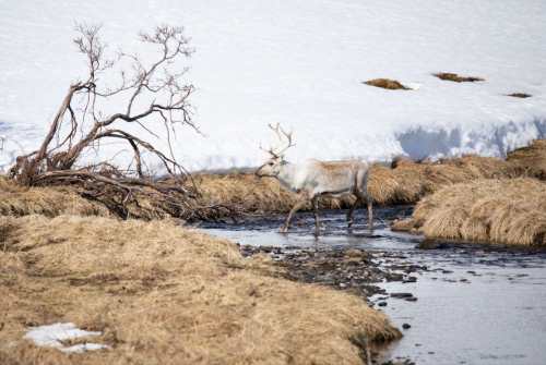 Visit Norway, Uteguiden