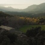 Mallorca Powers Up as a Leading Global Audiovisual Hub