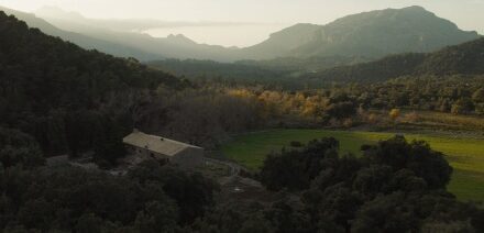 Mallorca Powers Up as a Leading Global Audiovisual Hub