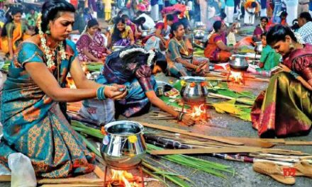 Harvest Journeys: India’s Most Meaningful Travel Pause