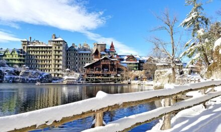 U.S. Hotel Results Show Solid Start for Early January