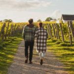 Terra Skåne Launches as Sweden’s Emerging Wine Region