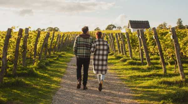 Terra Skåne Launches as Sweden’s Emerging Wine Region
