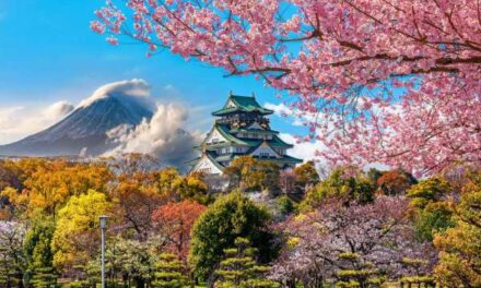 Solo Travellers Save Big on Just You’s Japan Tour