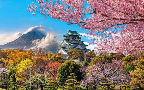 Solo Travellers Save Big on Just You’s Japan Tour