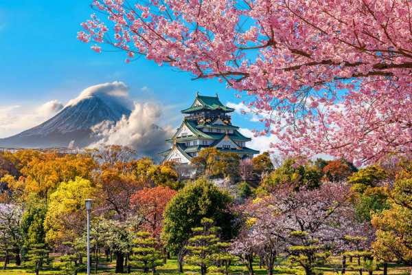 Solo Travellers Save Big on Just You’s Japan Tour