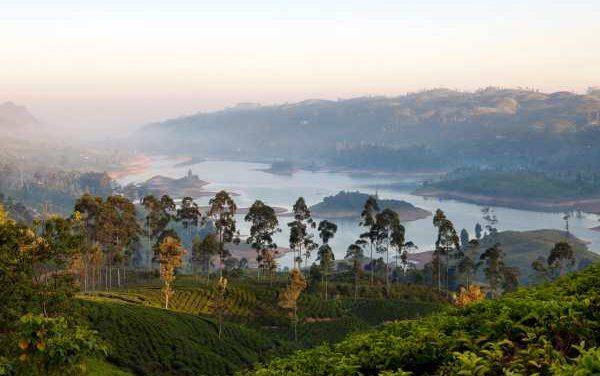 Lunar New Year Shines at Resplendent Ceylon