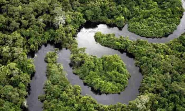 Peru’s Amazon: Two Gateways Agents Should Know Now