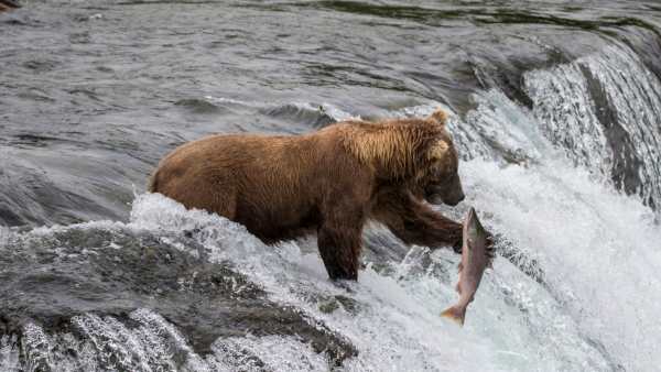 Azamara Unveils 2027 Alaska Cruisetours