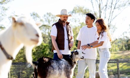 Queensland Tourism Boost Gets Capability Cash