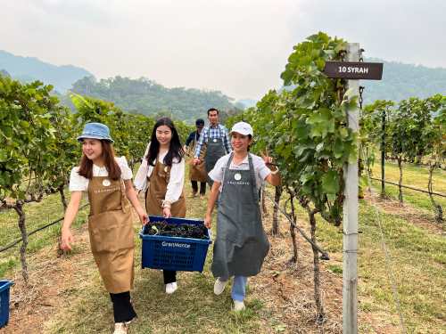 GranMonte Harvest Season 2026 Returns to Khao Yai