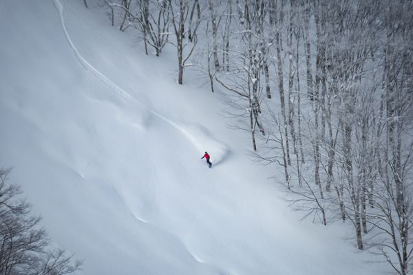 Hoshino Resorts Boasts Exceptional Snow