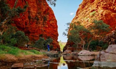 Melbourne Hosts Northern Territory Takeover