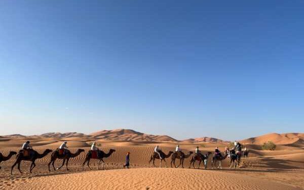 2026 Travel Trends: Immersion Takes the Lead