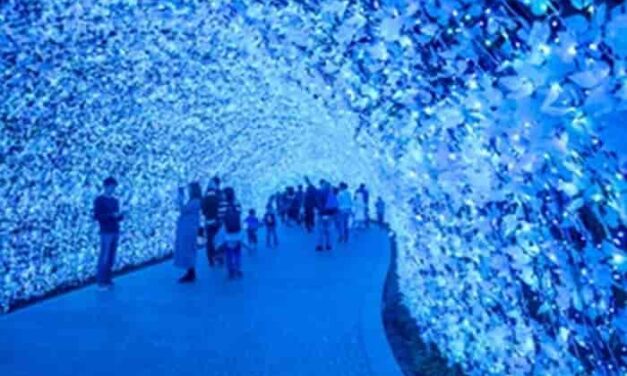 Aussies Flock to Japan as Winter Boom Hits New Peak