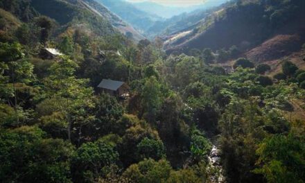 New Luxury Tented Camp Opens in Northern Thailand