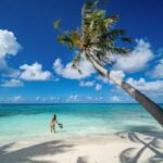 PONANT EXPLORATIONS Unveils 2026 Discovery Sessions