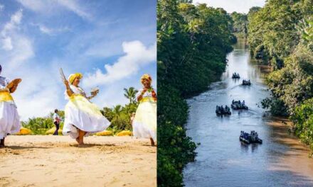 Swan Hellenic’s 2027 Brazil Amazon Expeditions