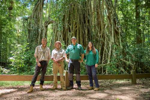Rainforest to Bush Cultural Experiences Raises $40,000