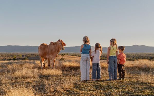 Busbys on Tour Puts Rockhampton on Show
